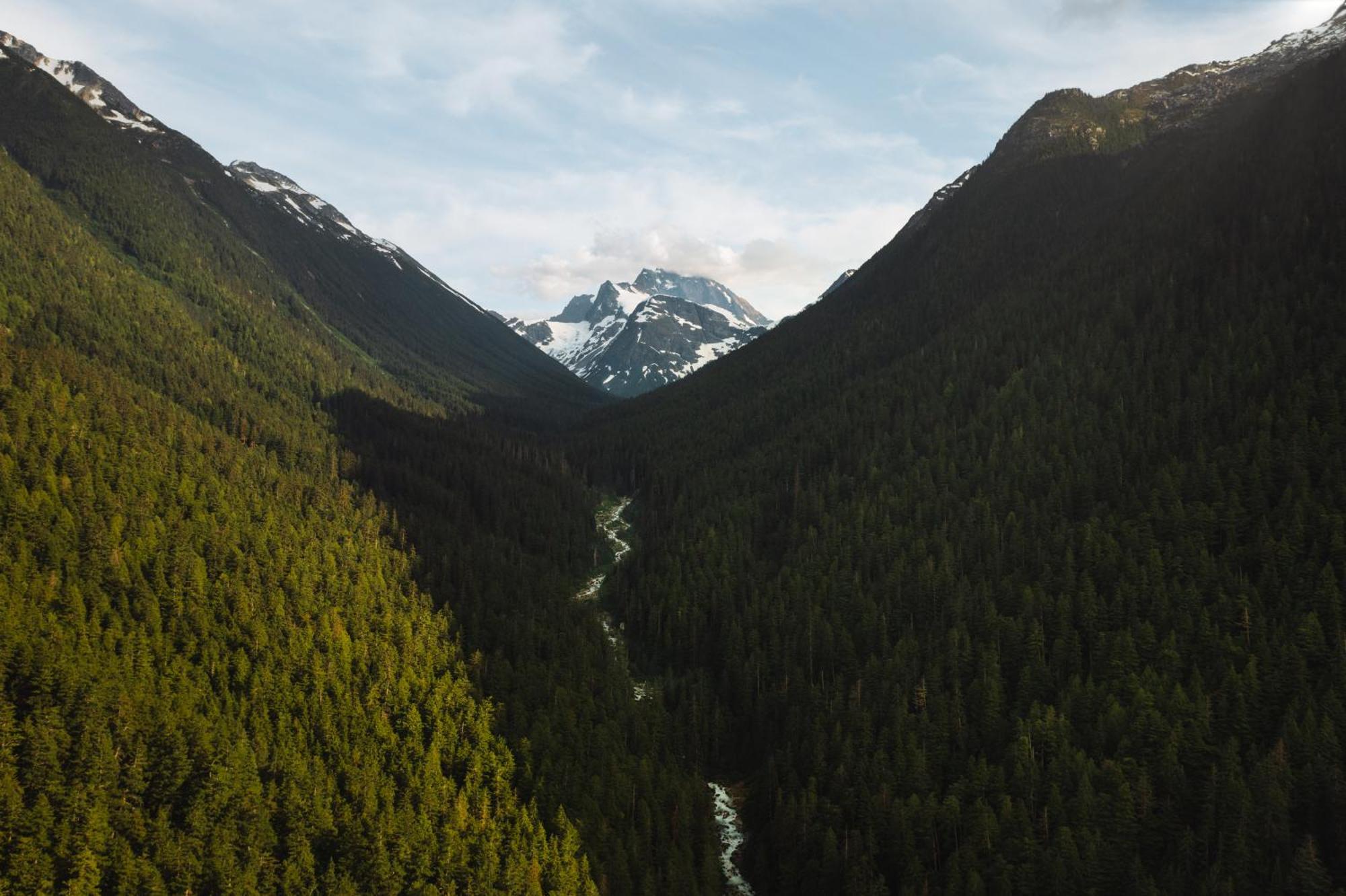 Hagensborg Bella Coola Grizzly Tours And Resort מראה חיצוני תמונה