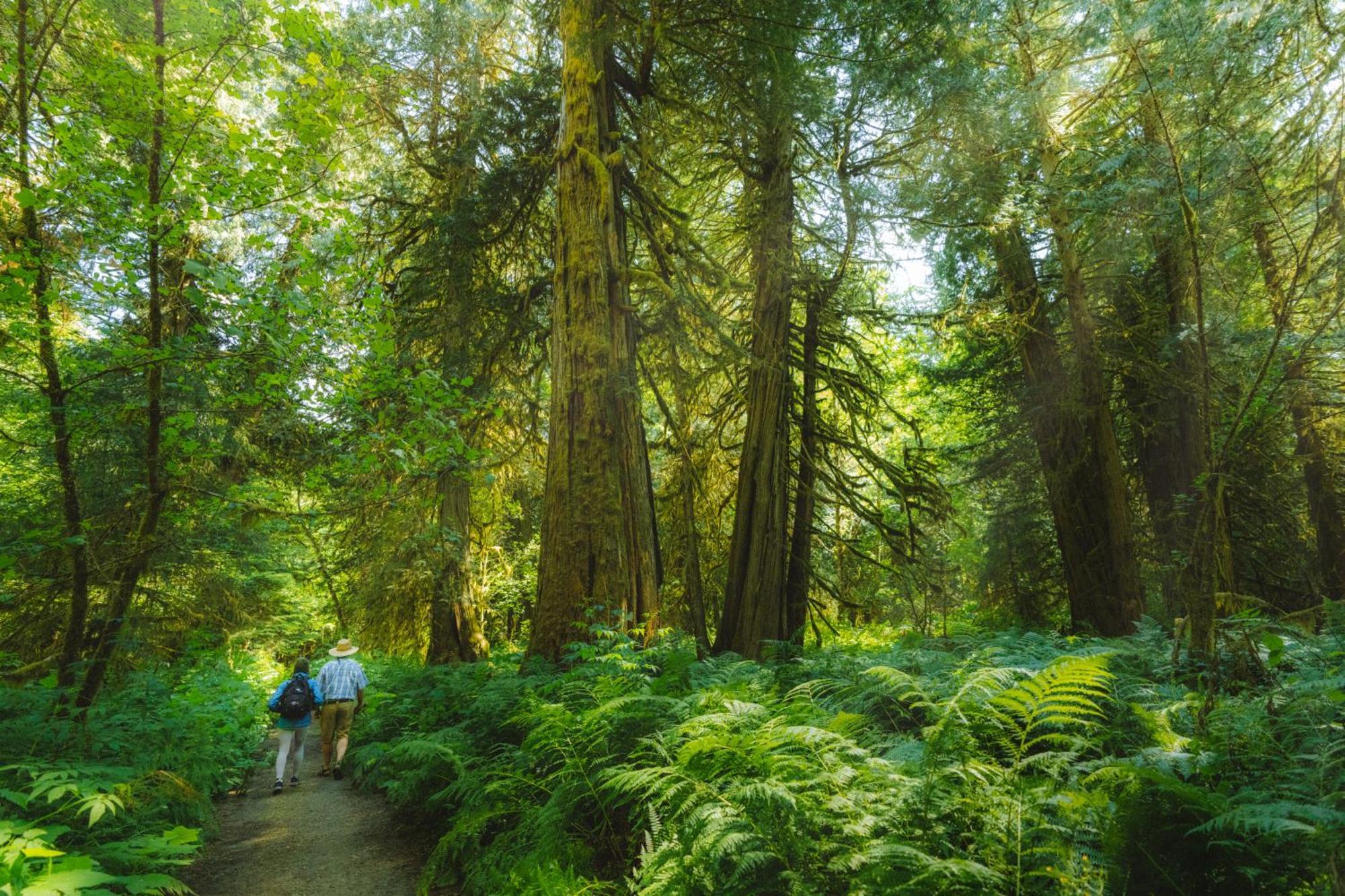 Hagensborg Bella Coola Grizzly Tours And Resort מראה חיצוני תמונה